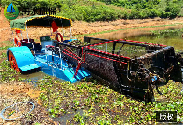 水上割草船 河道清理船 水草收割船多少钱