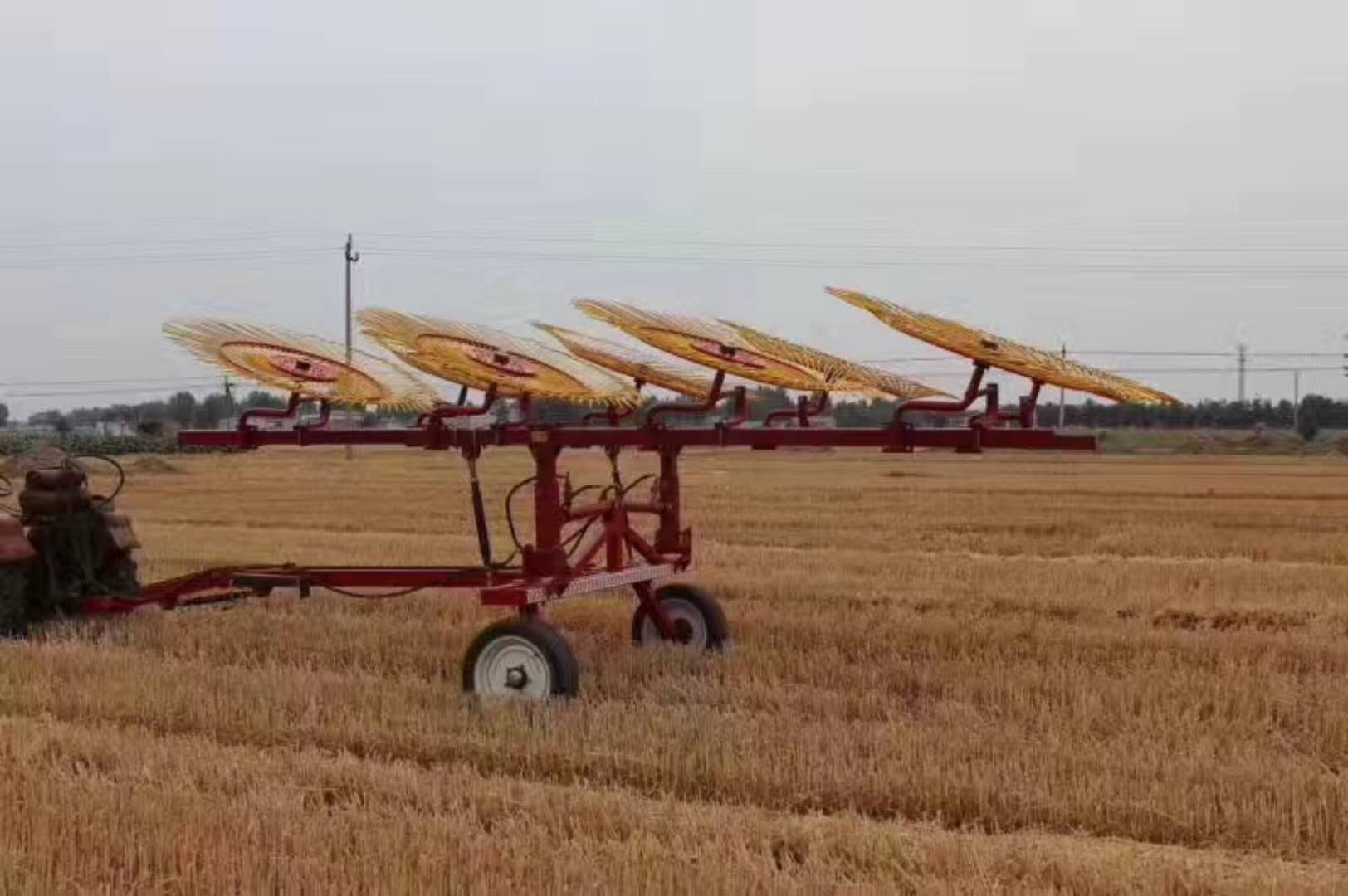 小麦秸秆搂草机 玉米秸秆搂草机 旋转搂草机视频