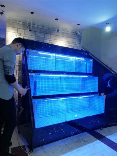 广州海鲜池免费设计定做 亚克力鱼缸订做 海水鱼缸设计订做