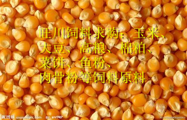 旺川求购玉米高粱豆粕蚕豆