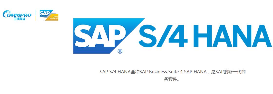 SAP S/4 HANA视音频显控行业解决方案 ERP供应商