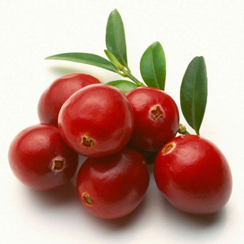 进口蔓越莓厂家直销批发出货价格美丽