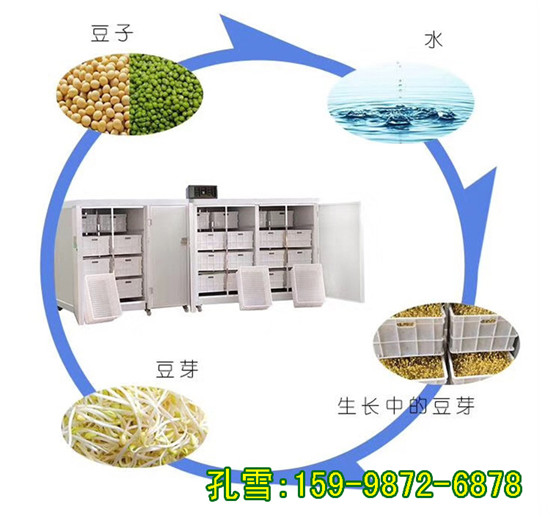 豆芽机 山东豆芽机生产线 全自动豆芽机无需人工