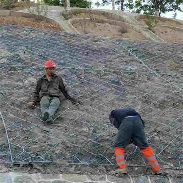 安平县边坡防护网厂