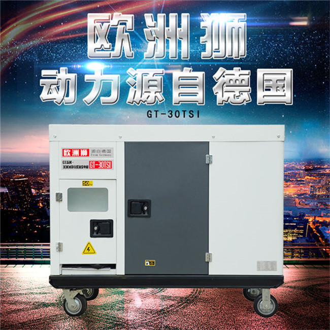 欧洲狮30kw汽油发电机四冲程