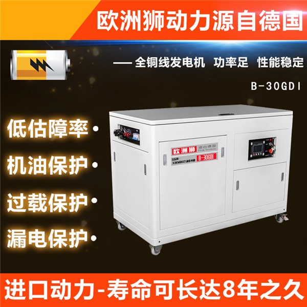 30kw静音汽油发电机三重降噪