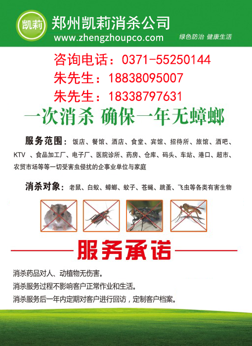 郑州灭白蚁公司，郑州农贸市场灭白蚁公司多少钱，郑州超市灭白蚁公司