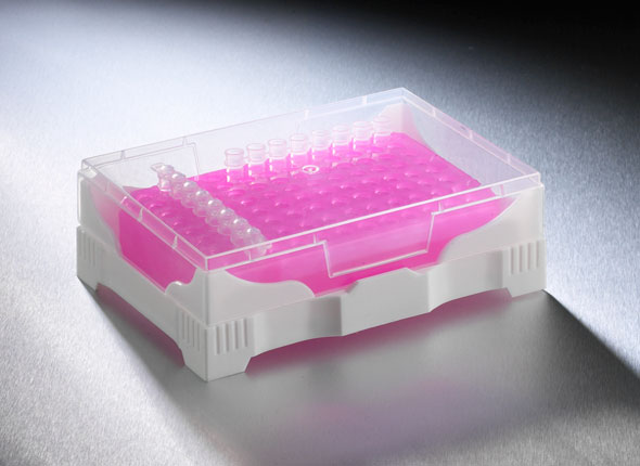 PCR 管架