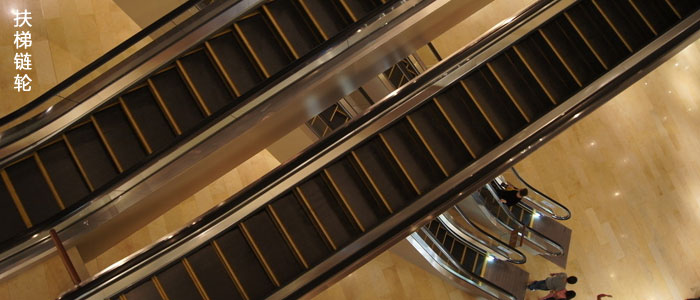 龙口供应倍速链轮、糖厂链轮品质优良
