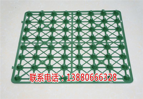 什邡绿化排水板-美鑫塑胶制品
