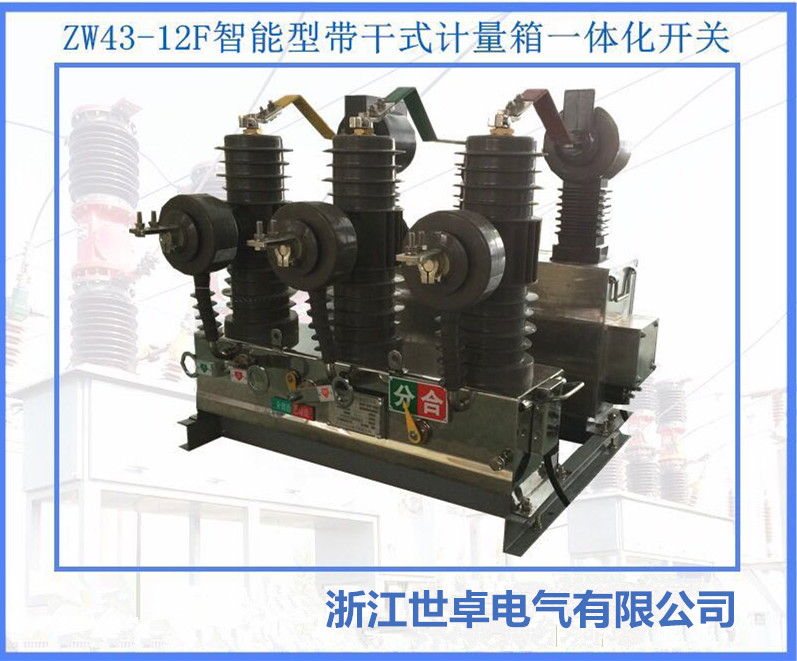 型户外高压交流分界真空断路器ZW43-12F