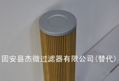 1.0020P20D替代EPE滤芯【杰微】