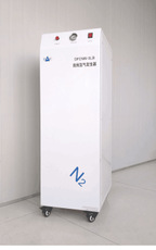色谱分离氮气发生器DFNW-2L系列