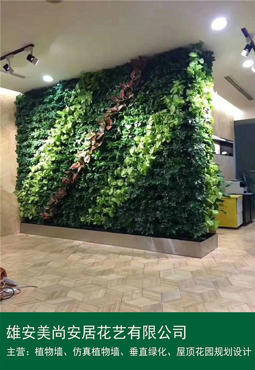 真植物墙-美尚植物墙-专业安装（查看）