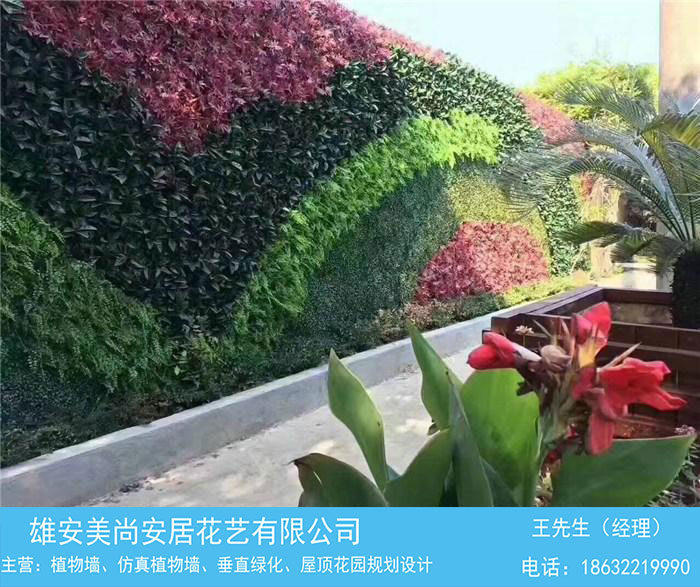 植物墙-植物墙绿化-雄安美尚安居