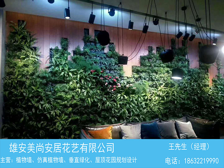 室内真植物墙装饰-美尚植物墙-在线咨询