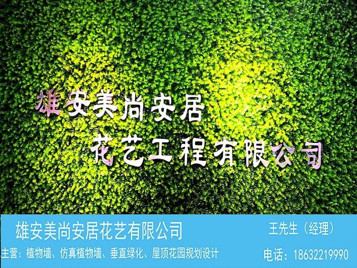 仿真植物墙-雄安美尚植物墙-专业安装-植物墙价格多少