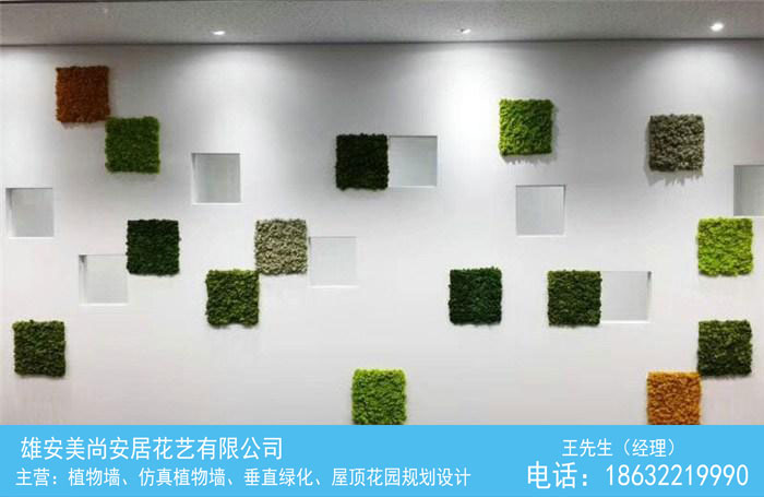 仿真绿植墙-仿真植物墙-美尚植物墙