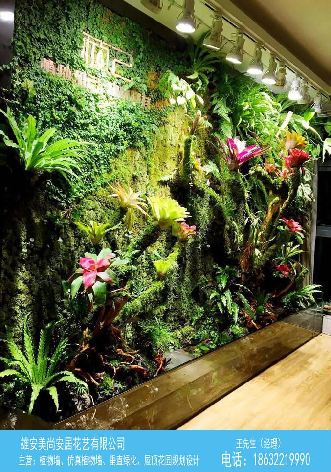 植物墙制作-美尚园艺(在线咨询)-雄安植物墙