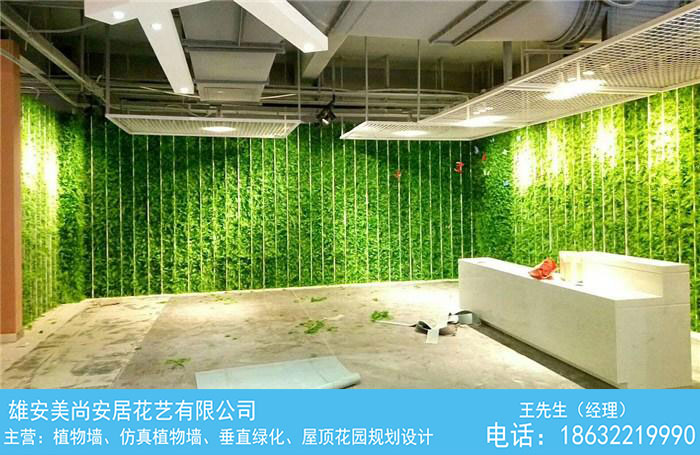 保定仿真植物墙一平多少钱-美尚园艺-价格实惠-仿真植物墙