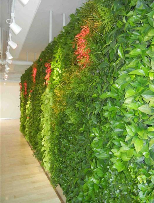 雄安美尚（图）、仿真绿化植物墙、植物墙