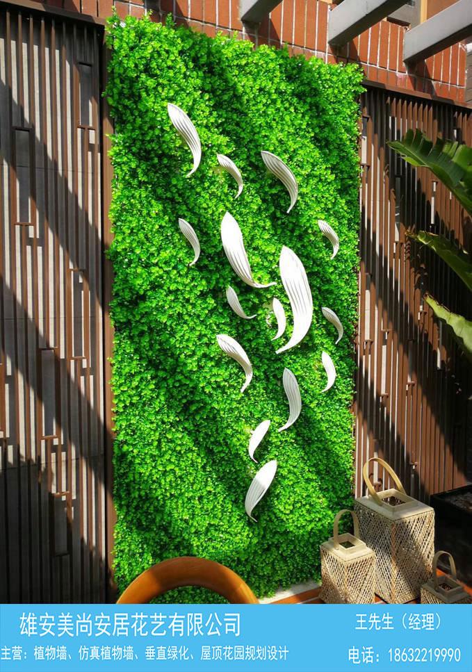 垂直绿化植物墙-雄安美尚专业安装