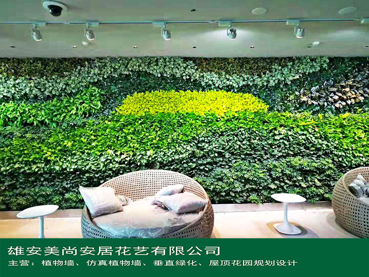 真植物墙-植物墙-在线咨询-雄安美尚植物墙（查看）