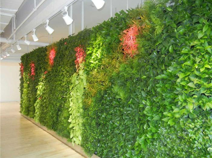 植物墙-雄安美尚安居植物墙-室外植物墙