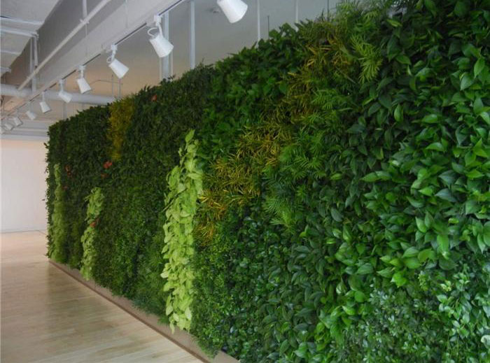 室内植物墙-植物墙-美尚园艺专业安装（查看）