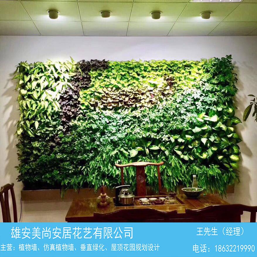 真植物墙 --雄安美尚园艺-专业安装-在线咨询
