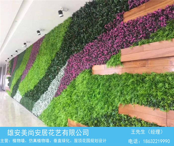 雄安美尚安居花艺绿化时尚植物墙