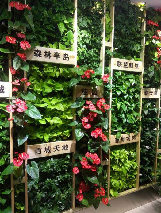 植物墙|雄安美尚|仿真绿色植物墙