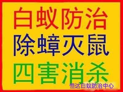 东莞灭白蚁预防白蚁 东莞市恒达白蚁防治中心（提供免费上门检查白蚁虫害）