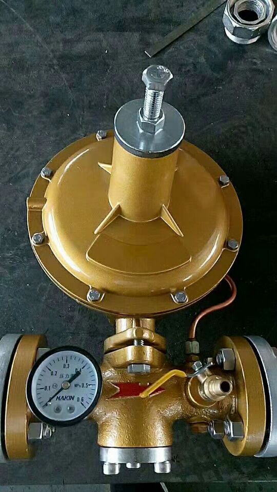 RTZ-F H 型燃气调压器@燃气减压阀