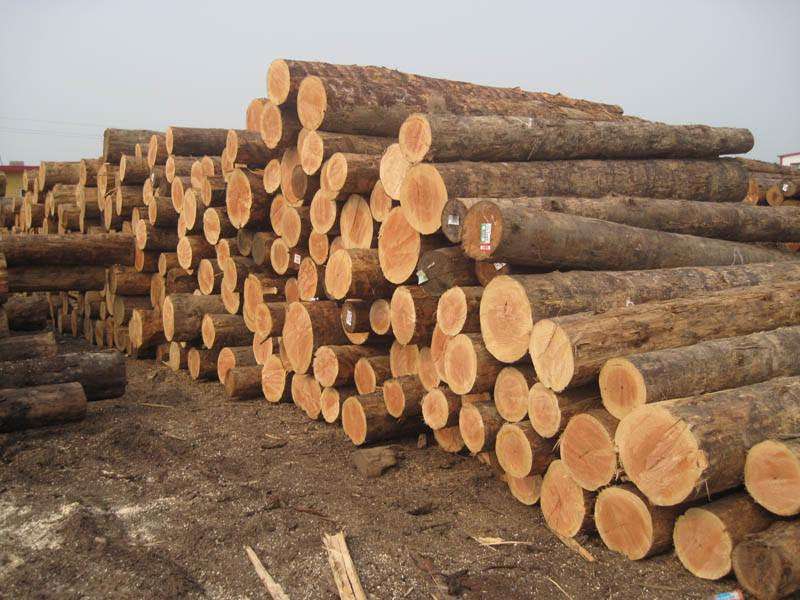 木材进口报关公司