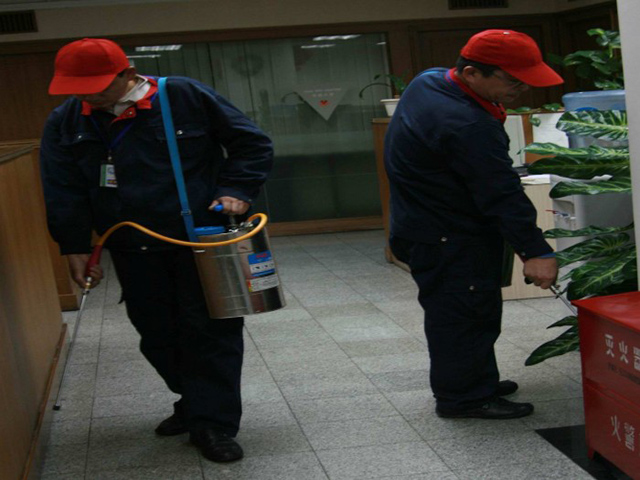 进口灭虫技术，西安灭蟑螂除老鼠彻底根除