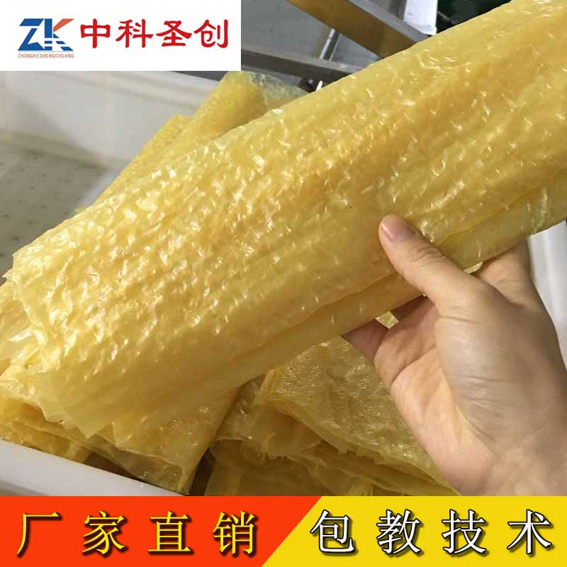 中科圣创全自动腐竹机视频 油豆腐皮卷机器价格 大豆腐竹加工机 