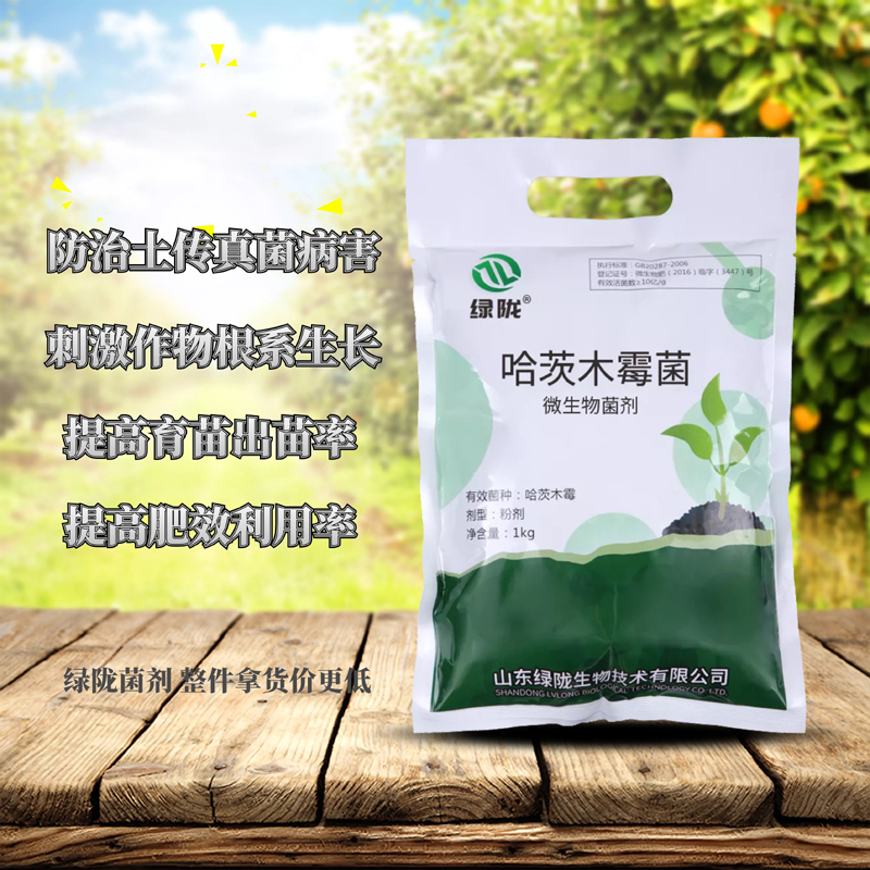  绿陇 哈茨木霉菌