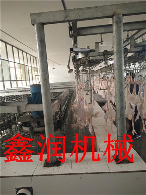 厂家专业制造宰鸡屠宰加工生产线设备