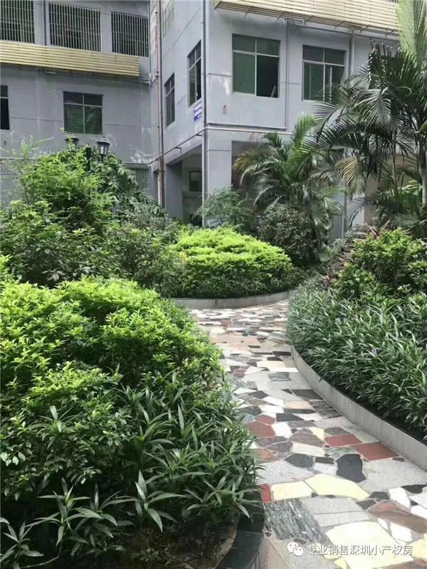 深圳布吉沙湾厦村小产权房出售 花园式统建楼