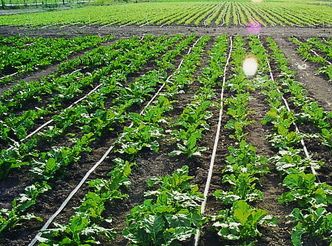 智能农业灌溉系统项目说明