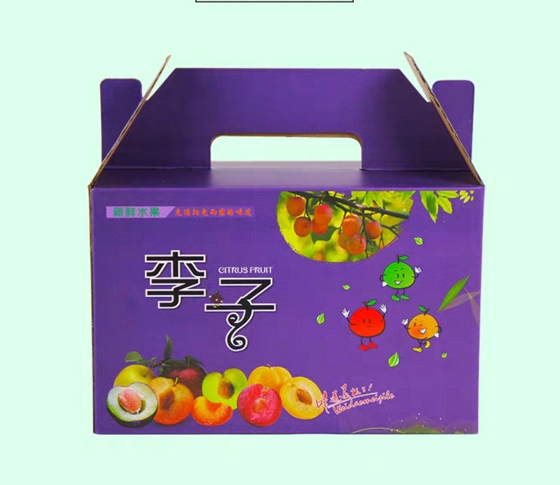 葡萄干礼盒订做 特产包装盒定制 成都包装制作