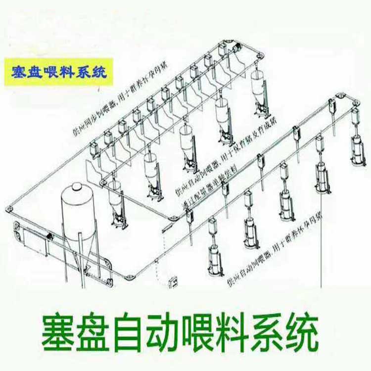 猪场养殖料线厂家自动猪舍料线喂料系统直销
