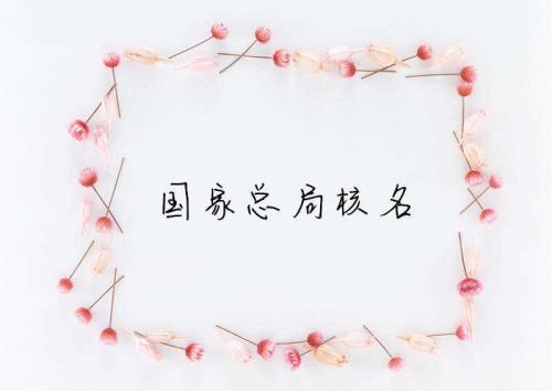 中字头企业名称核准注册要求