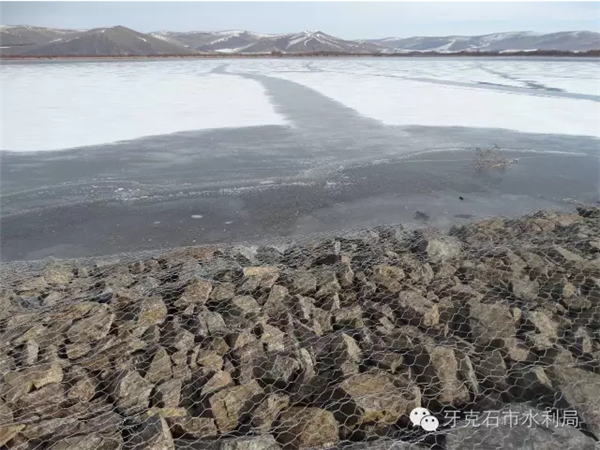 青海格宾网