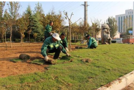 武汉市园林绿化工程土壤检测单位在哪里