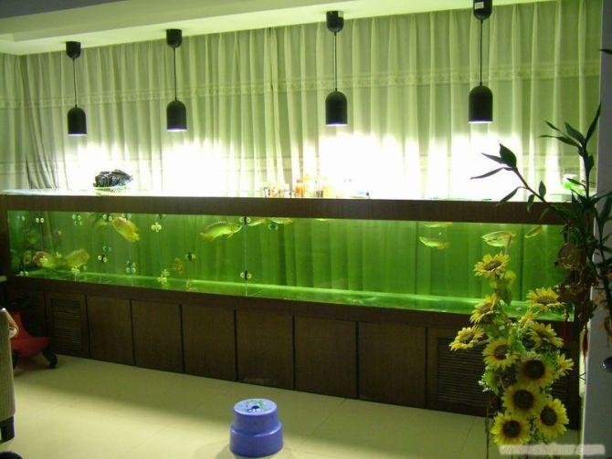 深圳海鲜鱼池定做、饭店海鲜池制作