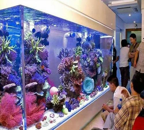 深圳超市海鲜鱼池、超市海鲜鱼池定制