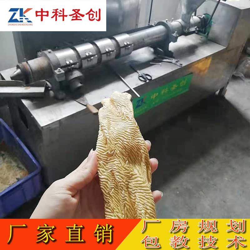 厂家供应牛排豆皮机价格 豆皮蛋白肉机器 合肥牛排豆皮机