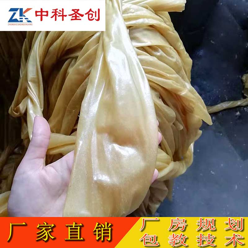 素鸡翅牛排豆皮机视频 黄豆牛排豆皮机 小型豆皮机多少钱一台